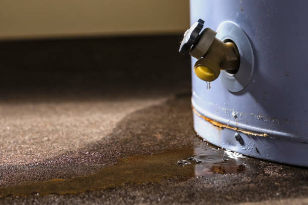 Water damage restoration mold remediation in Richland, GA