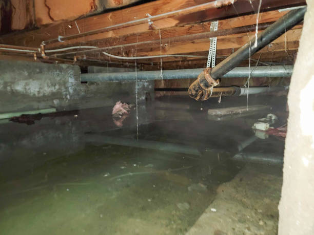 Best Flood damage cleanup  in Richland, GA