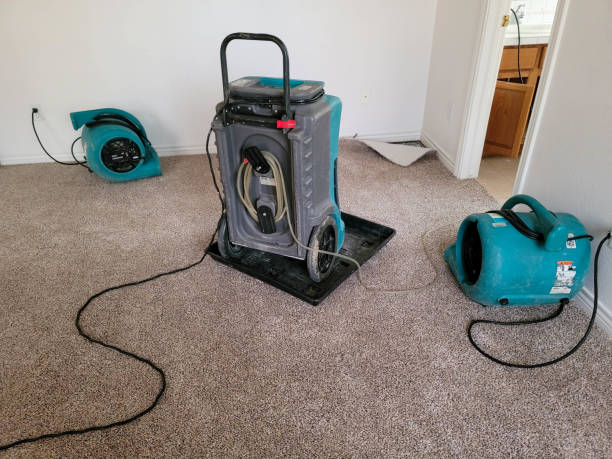 Best Water damage restoration process  in Richland, GA