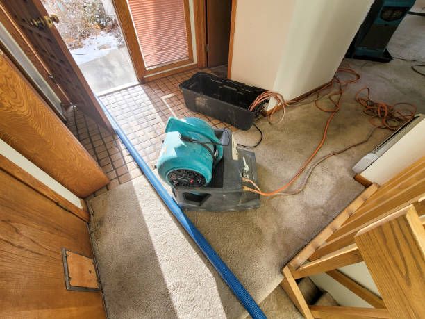 Best Water damage restoration near me  in Richland, GA