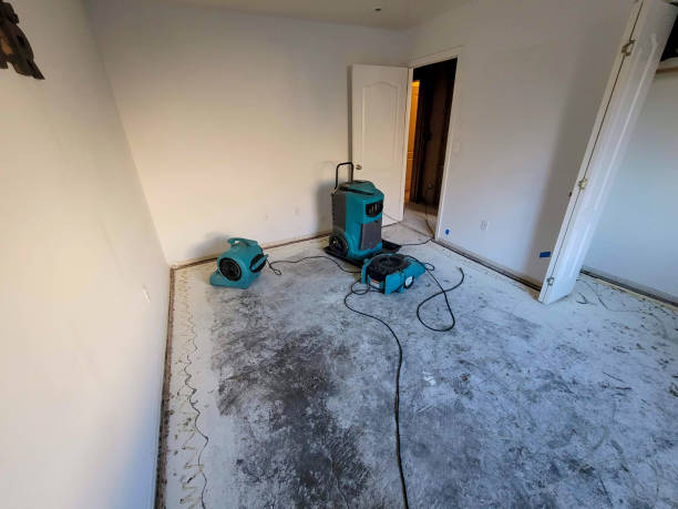 Best Fire Damage Restoration  in Richland, GA
