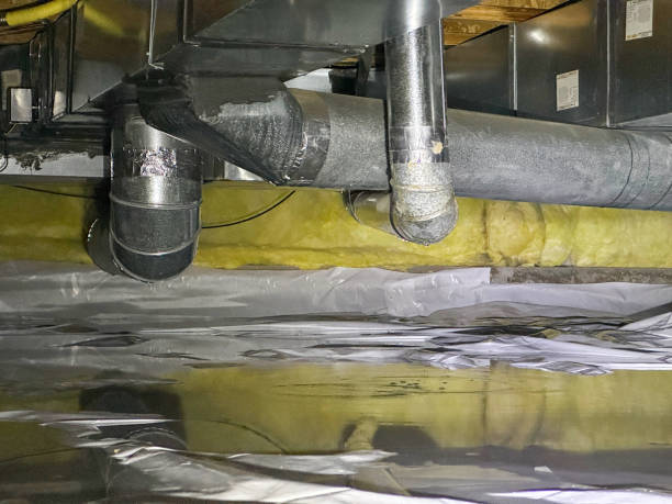 Best Carpet water damage restoration  in Richland, GA