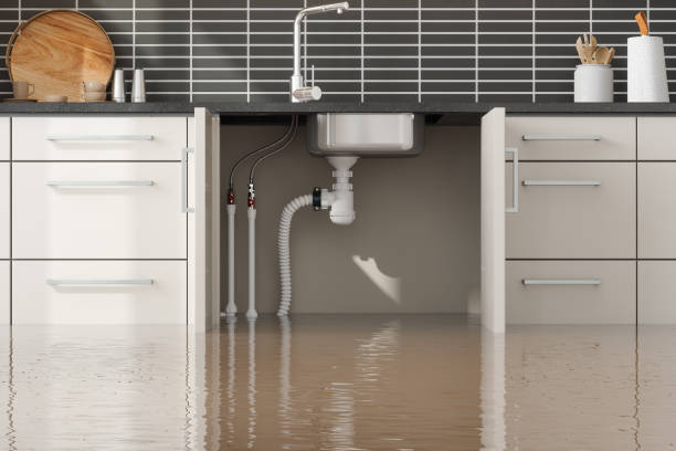 Best Basement water damage restoration  in Richland, GA