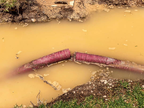 Local water damage restoration in Richland, GA