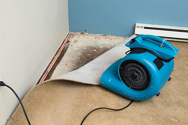 Water damage restoration mold remediation in Richland, GA